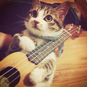 免费91在线视频
